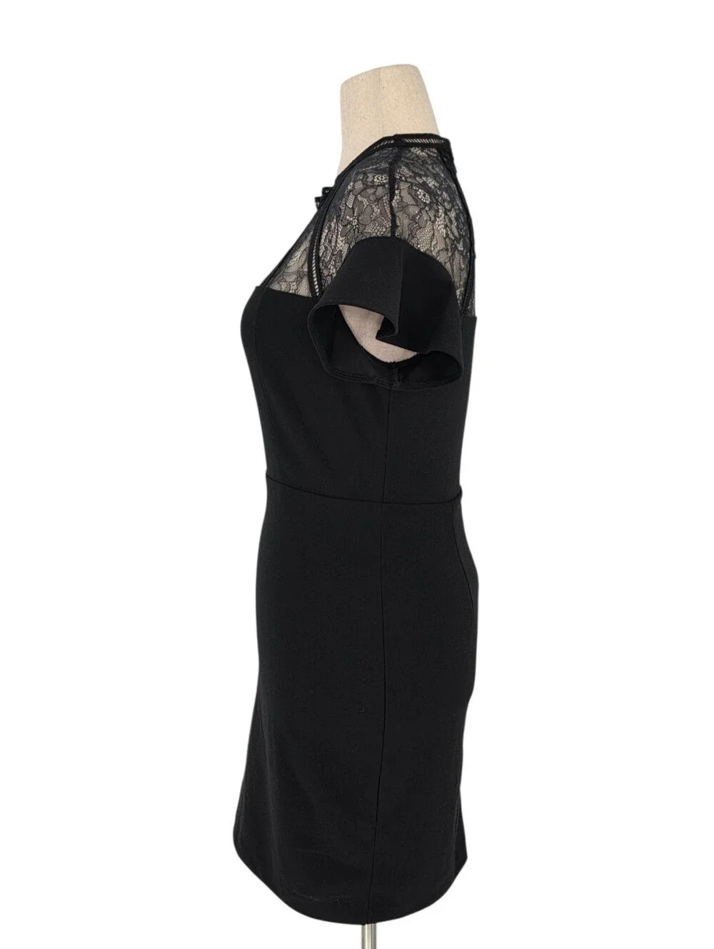 Express Black Lace Illusion Sheath Cocktail Dress Flutter Sleeve Medium M